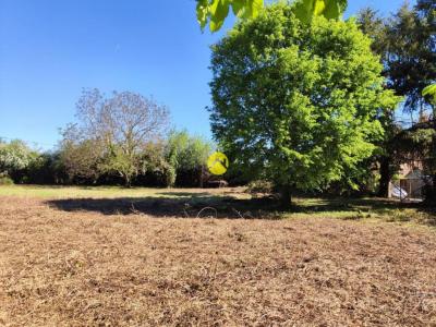 Acheter Terrain Precy Cher