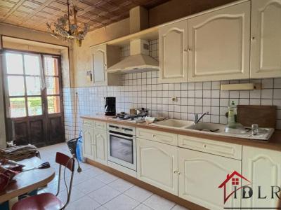 Annonce Vente 13 pi�ces Maison Aigremont 52