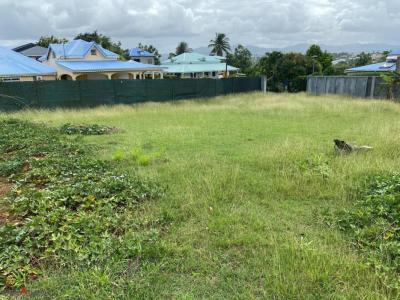 Annonce Vente Terrain Baie-mahault 971