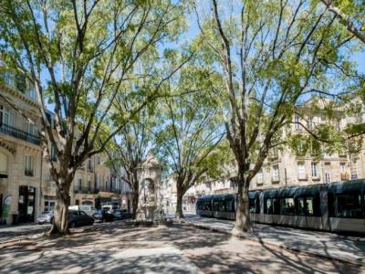 For rent Bordeaux 2 rooms Gironde (33000) photo 0