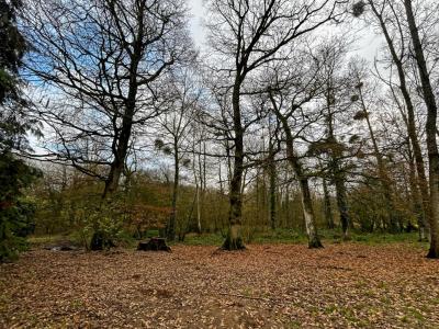 For sale Plemet 10 rooms 220 m2 Cotes d'armor (22210) photo 0