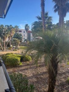 For sale Sete 2 rooms 44 m2 Herault (34200) photo 3