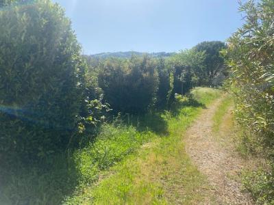 Acheter Terrain 520 m2 Cornas
