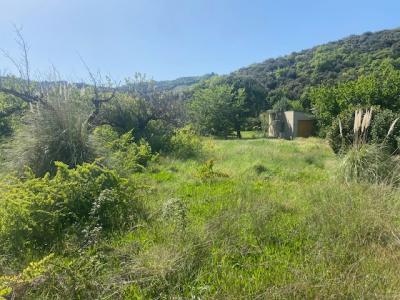 Acheter Terrain Cornas Ardeche