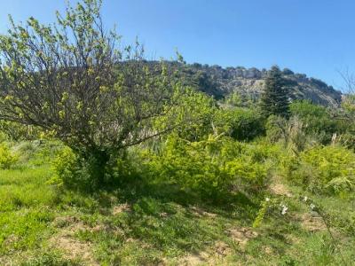 Acheter Terrain Cornas 129000 euros