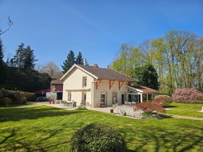 Acheter Prestige Epinal 790000 euros