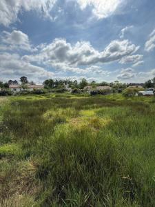 Annonce Vente Terrain Salaunes 33