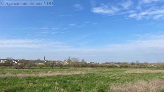 Annonce Vente Terrain Haraucourt 54
