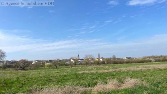 Acheter Terrain Haraucourt Meurthe et moselle