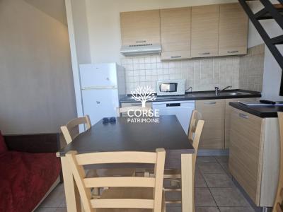 Acheter Appartement 33 m2 Linguizzetta