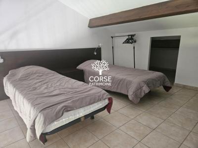 Acheter Appartement Linguizzetta 103000 euros
