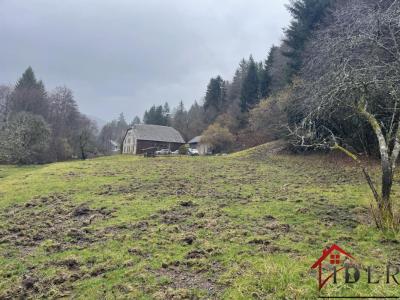 Acheter Maison Miellin Haute saone