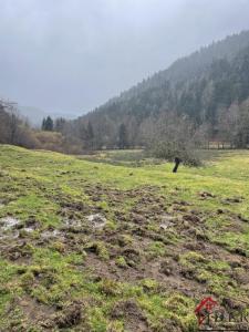 Acheter Maison Miellin 220000 euros