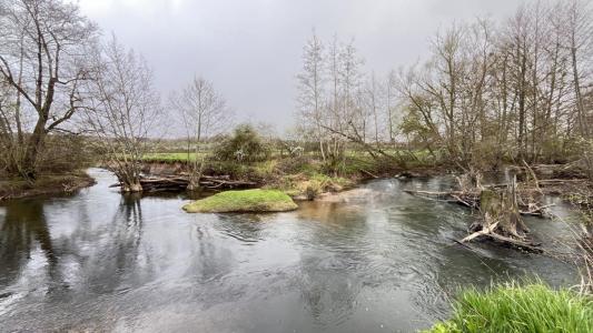 Acheter Maison Cordesse 440000 euros