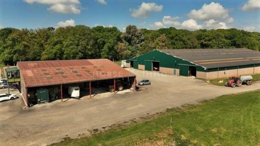 Acheter Prestige Chantilly 2500000 euros