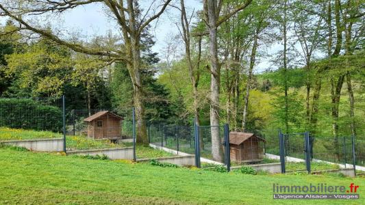 For sale Sainte-marie-aux-mines 5 rooms 230 m2 Haut rhin (68160) photo 4
