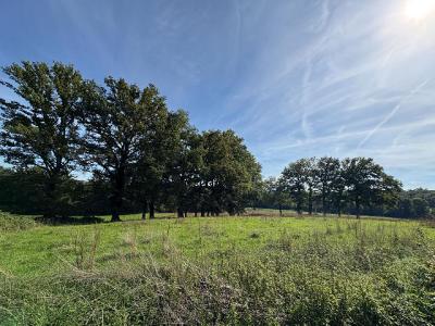 Annonce Vente 5 pi�ces Maison  87