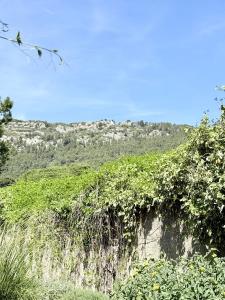 Acheter Maison  330000 euros