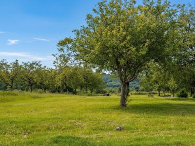 Annonce Vente 5 pi�ces Maison Marcillac-saint-quentin 24