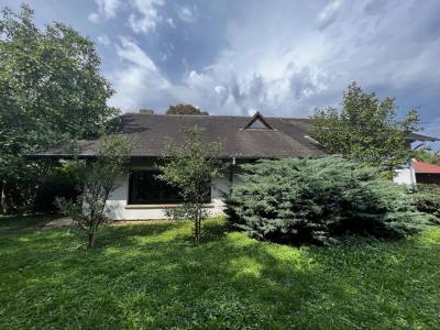 Acheter Maison 275 m2 Geiswiller