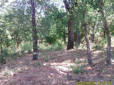 Annonce Vente Terrain Mayons 83