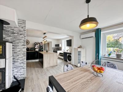 Acheter Maison 165 m2 Saint-amarin