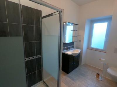 Annonce Location 4 pi�ces Maison Lion-d'angers 49