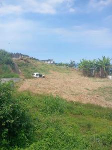 For sale Saint-leu 455 m2 Reunion (97424) photo 0