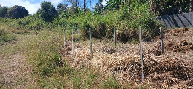 Annonce Vente Terrain Saint-leu 974