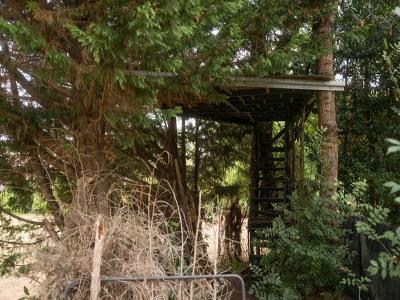 For sale Saint-romain-la-virvee 1460 m2 Gironde (33240) photo 2