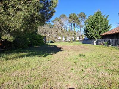 Annonce Vente Terrain Mont-de-marsan 40