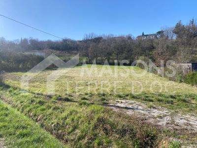 Acheter Maison 128 m2 Castres