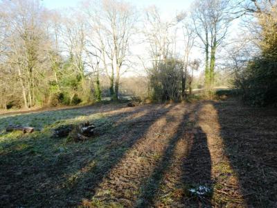 Acheter Maison Saint-caradec-tregomel 37300 euros