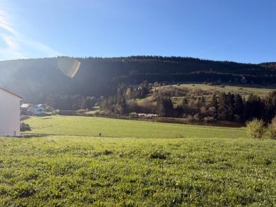 Acheter Terrain 649 m2 Maisons-du-bois-lievremont