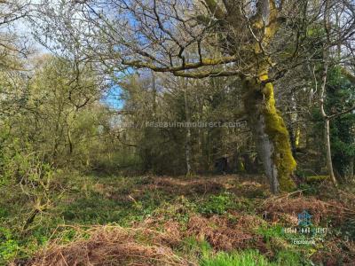 For sale Priziac 6700 m2 Morbihan (56320) photo 0