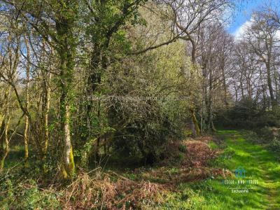 For sale Priziac 6700 m2 Morbihan (56320) photo 1