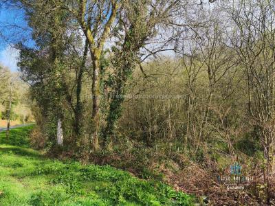 For sale Priziac 6700 m2 Morbihan (56320) photo 2