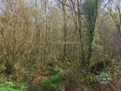 For sale Priziac 6700 m2 Morbihan (56320) photo 4