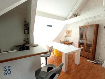 Louer Appartement 39 m2 Strasbourg