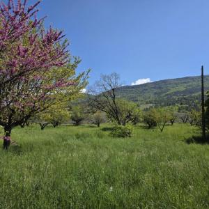 For sale Vercoiran 5 rooms 96 m2 Drome (26170) photo 1