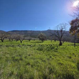 For sale Vercoiran 5 rooms 96 m2 Drome (26170) photo 3