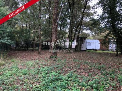 For sale Saint-pierre-d'oleron 403 m2 Charente maritime (17310) photo 3