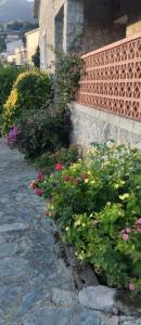 For rent Petreto-bicchisano 4 rooms 150 m2 Corse (20140) photo 0