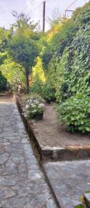 For rent Petreto-bicchisano 4 rooms 150 m2 Corse (20140) photo 2