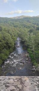 For rent Petreto-bicchisano 4 rooms 150 m2 Corse (20140) photo 3