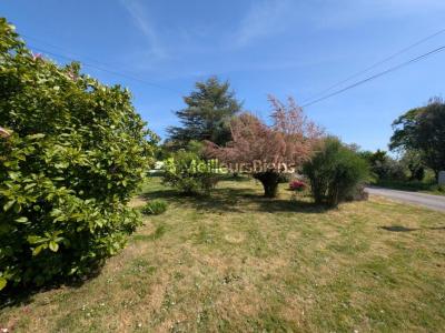 Annonce Vente 5 pi�ces Maison Camoel 56