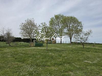 Acheter Maison 120 m2 Nogent-le-rotrou