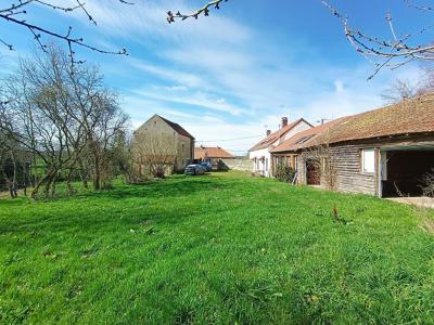Acheter Maison 300 m2 Celle-sur-nievre