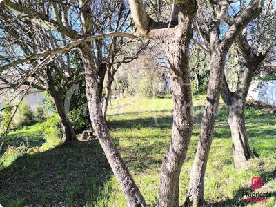 Annonce Vente Terrain Draguignan 83