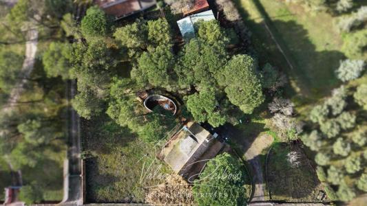 Annonce Vente 6 pi�ces Maison Malves-en-minervois 11